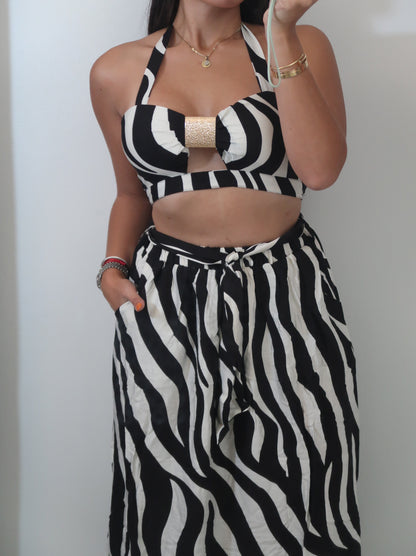 ZEBRA SET