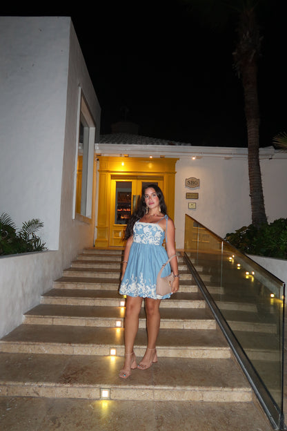 Gali Embroidered Dress