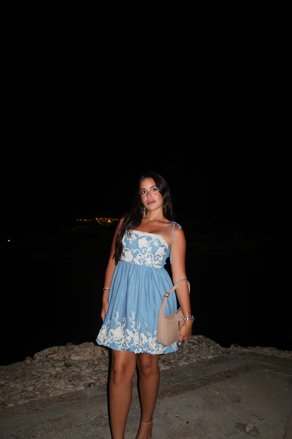 Gali Embroidered Dress