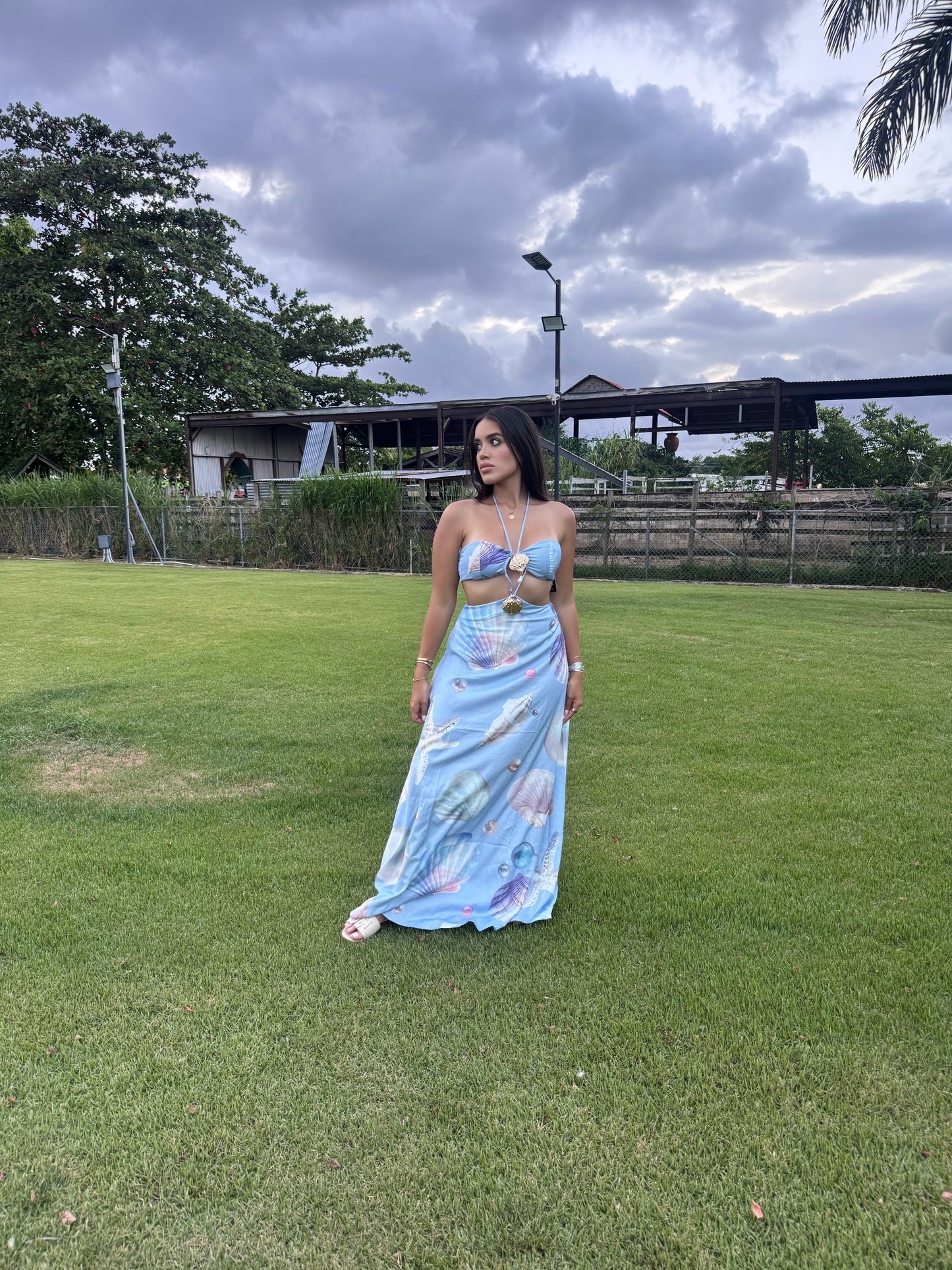 Sirena Dress