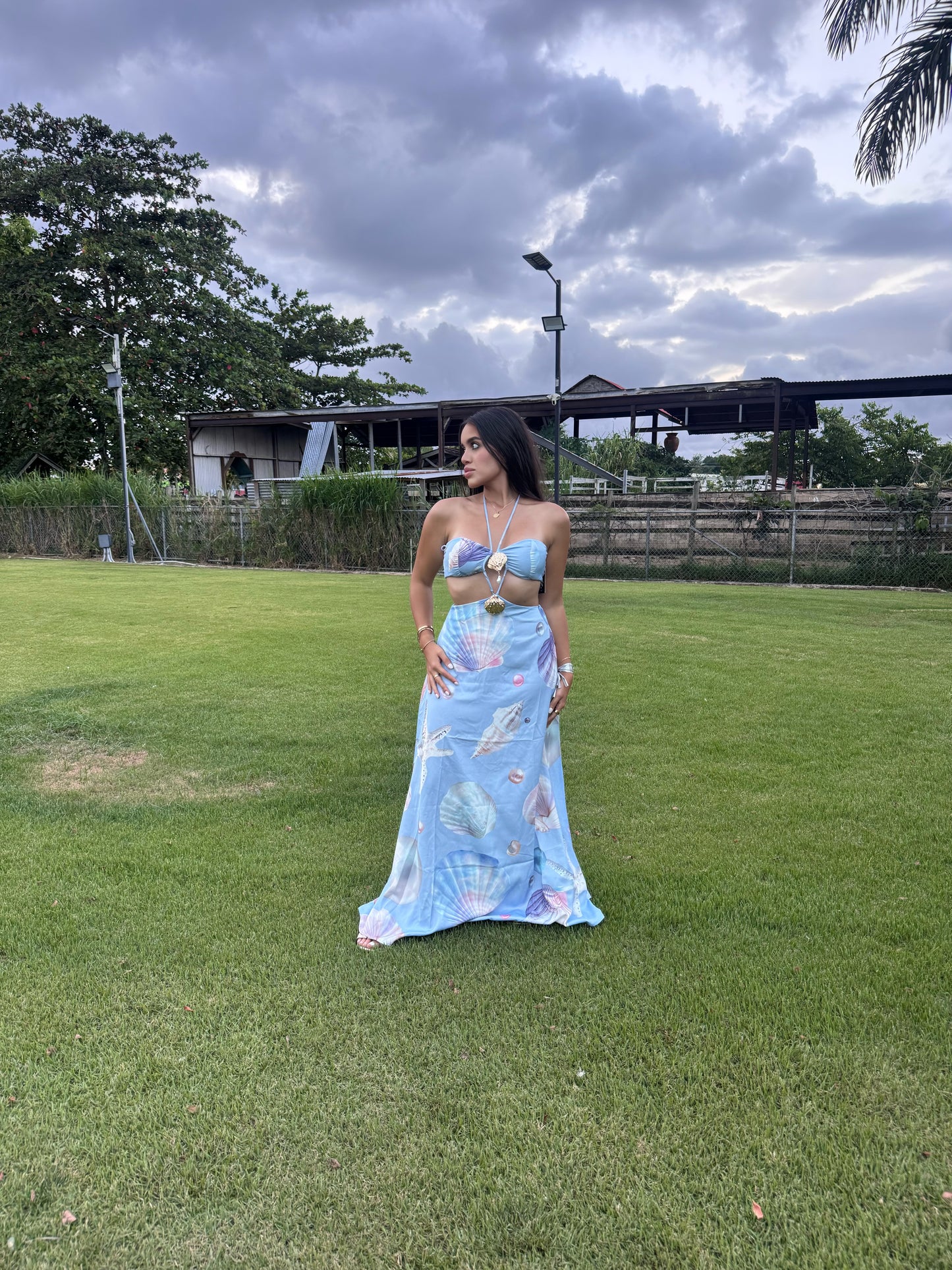 Sirena Dress