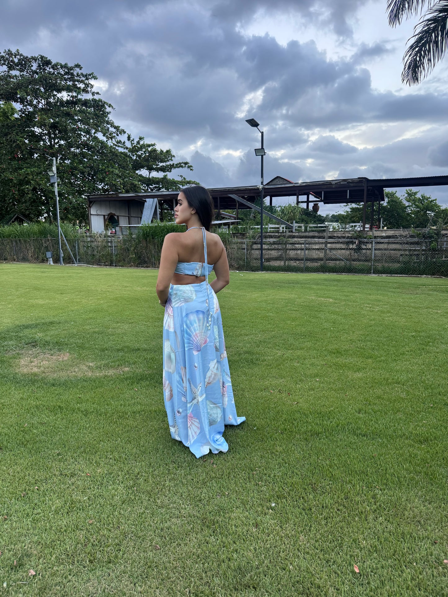 Sirena Dress