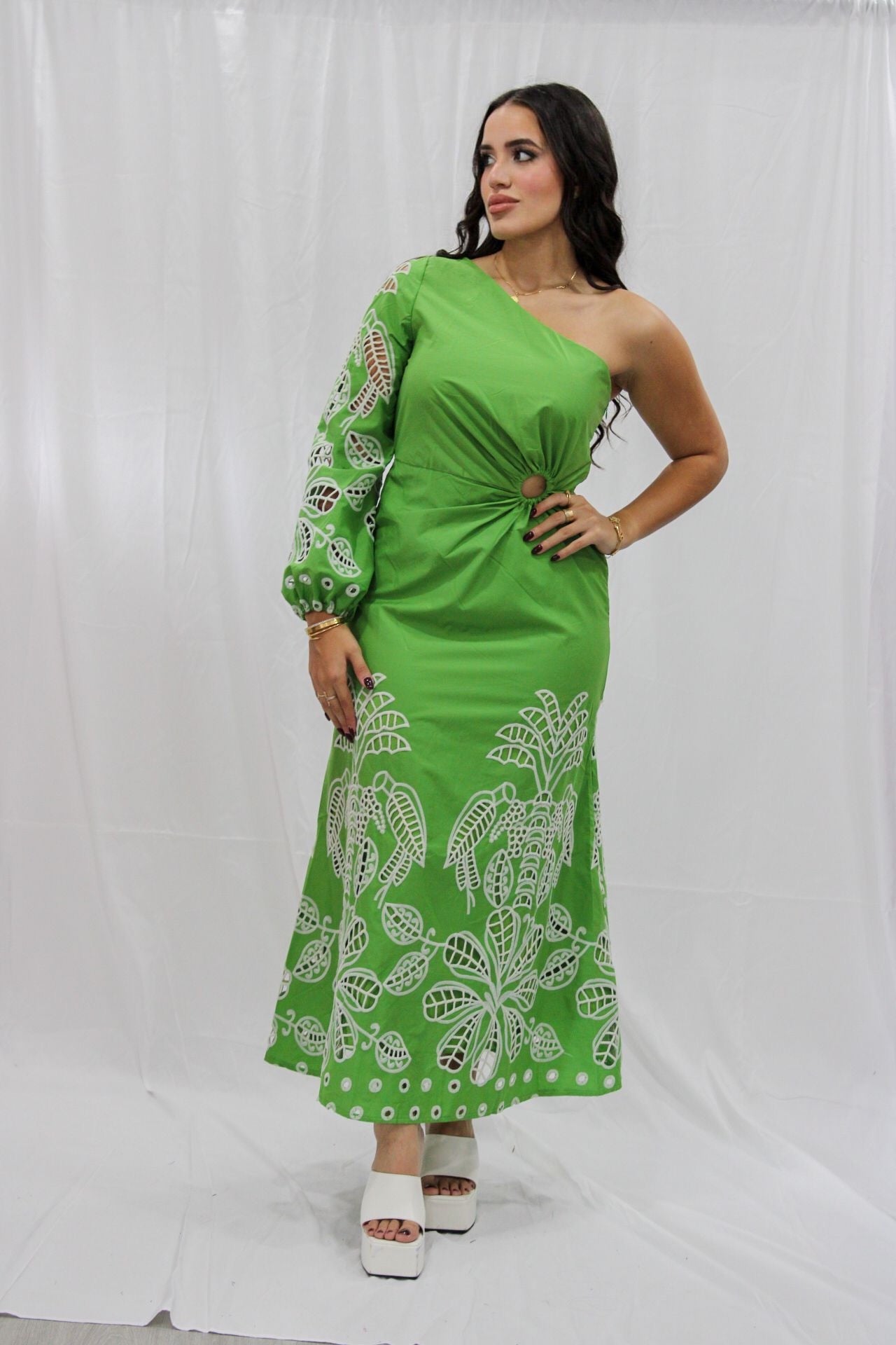 Embroidered Midi Dress in green